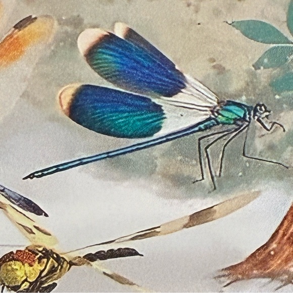 The Girl Who Loved Dragonflies – Fairy Tale Metal Wall Sign NEW Great Gift - Picture 2 of 4